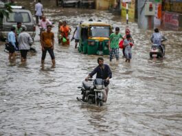 গুজরাটের ভালসাদে রেকর্ড বৃষ্টি, বন্যায় বিপর্যস্ত জনজীবন