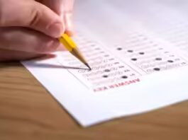 RSSB LDC provisional answer key 2026 expected to be released soon at rssb.rajasthan.gov.in: Direct link to download here