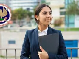 ICAI CA Final November 2026 mock test schedule released: Check Series I, II dates here