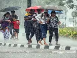 Kerala school holiday today: Schools, colleges shut in 11 districts due to heavy rain; check full list